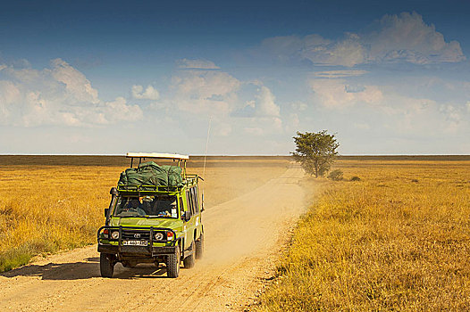 越野车辆,塞伦盖蒂国家公园,坦桑尼亚
