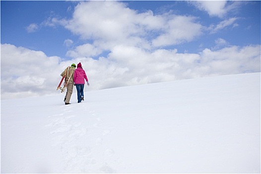 情侣,走,向上,滑雪坡,雪撬