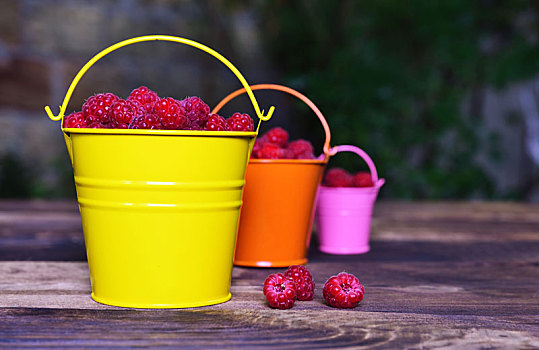 成熟,红色,树莓,铁,桶