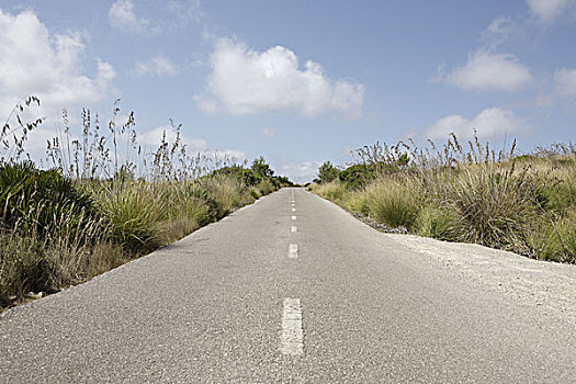 乡间小路,草