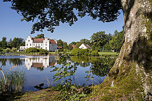 湖,正面,城堡,南方,瑞典