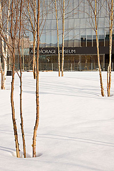 积雪,草地,正面,博物馆,中心,阿拉斯加,冬天