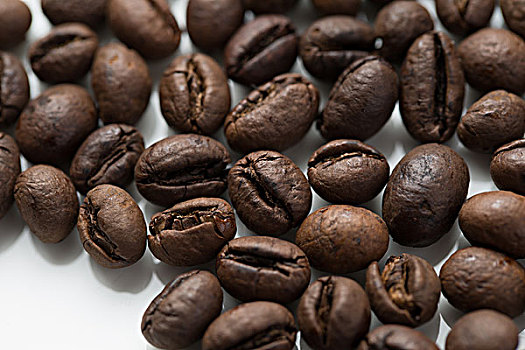 公豆咖啡豆