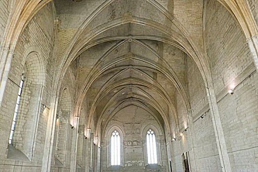 法国南部,沃克吕兹省,普罗旺斯,阿维尼翁,圆,宫殿,小教堂