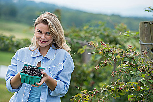 挑选,黑莓,水果,有机农场,女人,满,扁篮,光泽,浆果