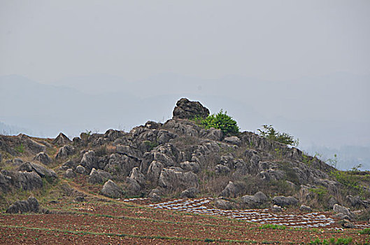 小尖山石林