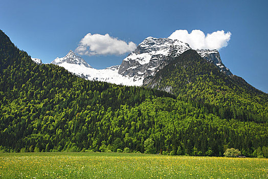 草地,正面,山,靠近,萨尔茨堡,萨尔茨堡州,奥地利,欧洲