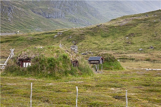 挪威,特色,草,屋顶,郊区住宅