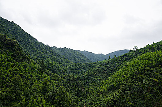 自然背景