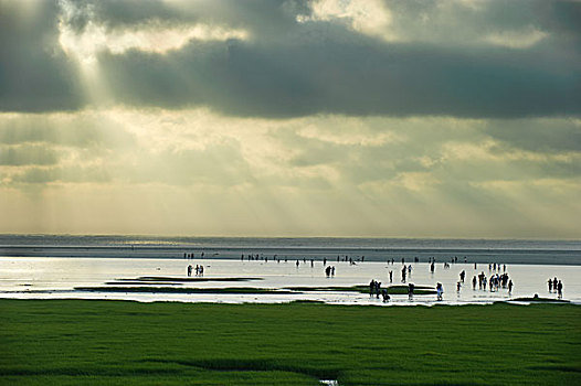 gaomei,wetland