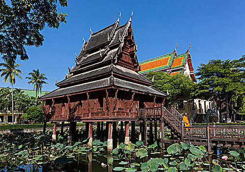 僧侣,正面,寺院,图书馆,莲花池,泰国,亚洲