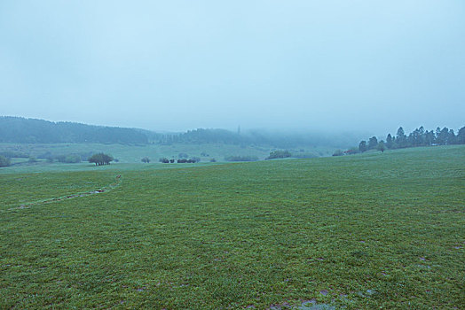 雨后的武隆仙女山大草原