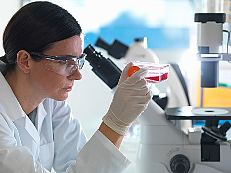 女性,细胞,生物学家,拿着,长颈瓶,干细胞,红色