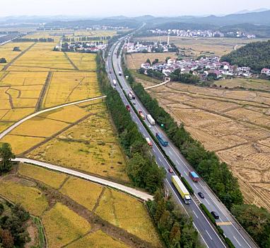 江西金溪,路暢田豐畫中行