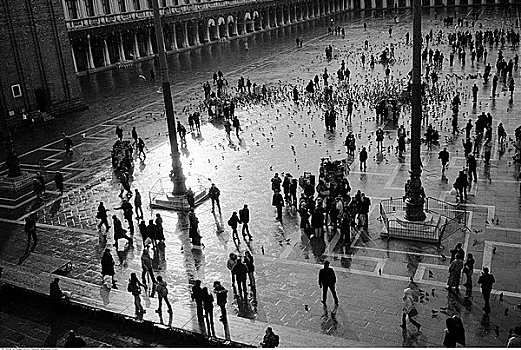 俯视,圣马克广场,威尼斯,意大利