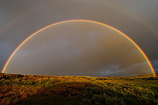 彩虹,上方,山地,风景,靠近,哈旦格尔维达,最大,高,朴素,挪威,欧洲