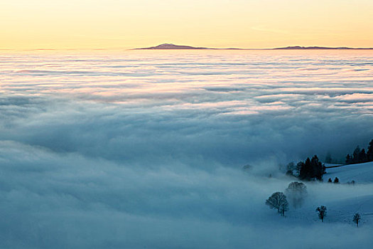 高,雾,莱茵河,山谷,风景,孚日,黑森林,巴登符腾堡,德国,欧洲