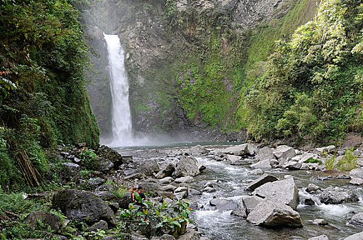 菲律宾,北方,吕宋岛,伊富高省,瀑布