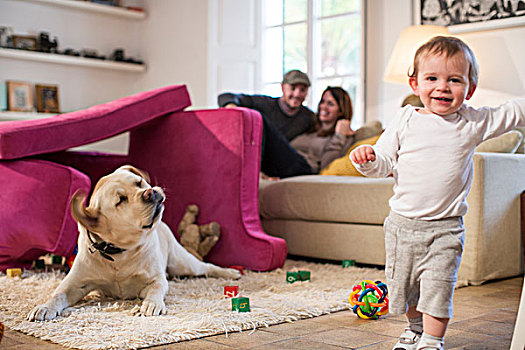 男婴,宠物,狗,玩,堡垒,沙发垫,看镜头,微笑