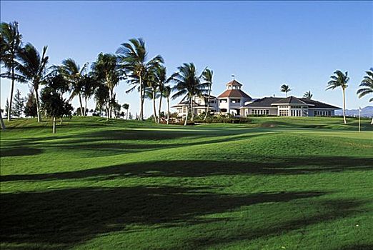 夏威夷,国王,球棒,高尔夫球场,风,棕榈树