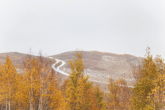 山路