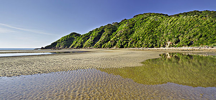 沙滩,湾,国家公园,南岛,新西兰