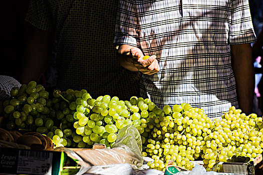 菜市场挑葡萄