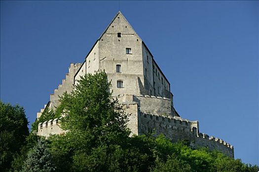 城堡,欧洲,上巴伐利亚,巴伐利亚,德国