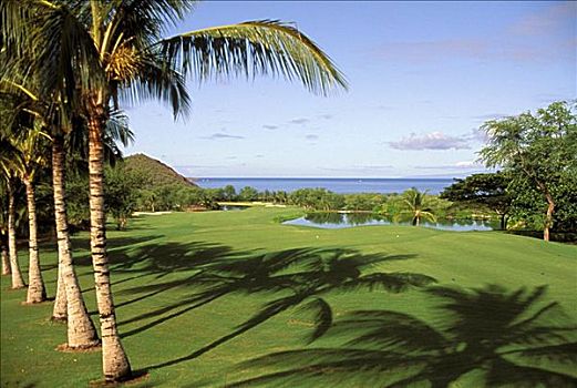 夏威夷,毛伊岛,麦肯那高尔夫俱乐部,洞,棕榈树,影子,海洋,远景