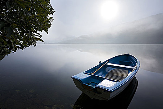 斯堪的纳维亚,挪威,湖,划桨船,雾,风景