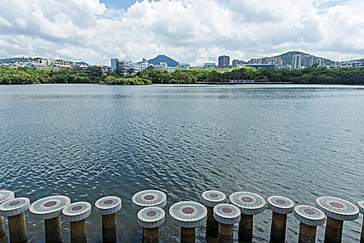 三亚湾河西港口红树林