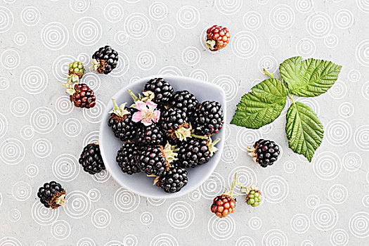 黑莓,花,叶子