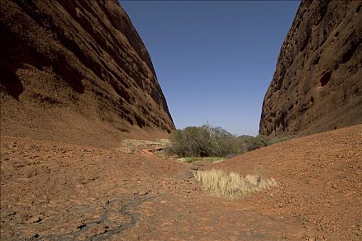 奥尔加,乌卢鲁巨石,卡塔曲塔,国家公园,艾尔斯巨石,北部地区,澳大利亚