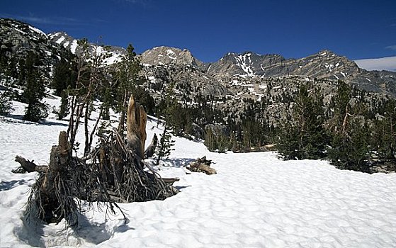 积雪,风景,荒野,加利福尼亚,美国