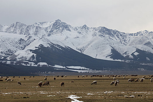 东天山美景