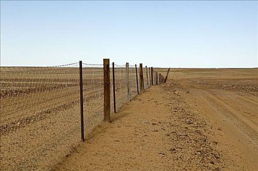局部,澳洲野狗,栅栏,南澳大利亚,澳大利亚