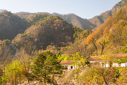 秦岭山秋景