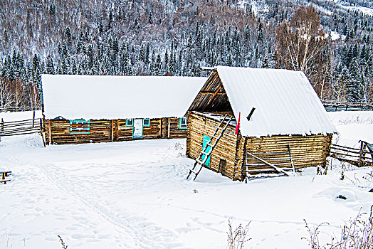 冬日,雪景,山林,雪地,木屋