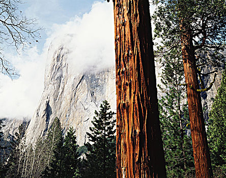 加利福尼亚,内华达山脉,优胜美地国家公园,船长峰,大幅,尺寸