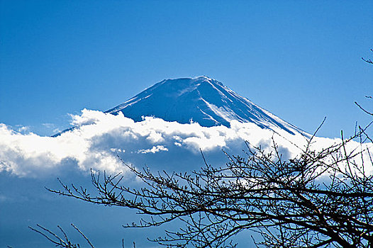 日本,东京,山,富士山