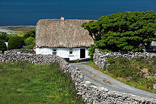 爱尔兰,戈尔韦,阿伦群岛,伊尼什莫尔岛尔,蒲屋,干燥,石墙,后面