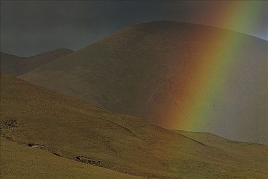 彩虹,上方,庄园,靠近,国家公园,安第斯山,厄瓜多尔