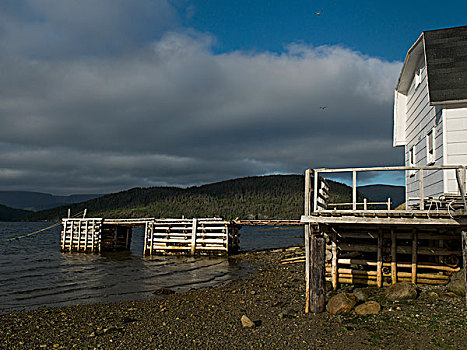 高脚屋,海岸线,纽芬兰,拉布拉多犬,加拿大