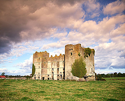 城堡,蒂帕雷里,爱尔兰