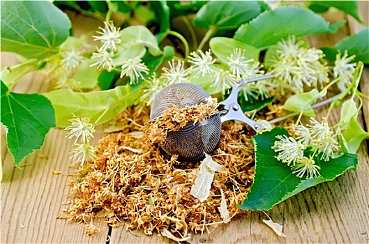 药茶,干燥,菩提树,花,滤茶器