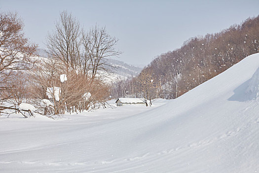 日本北海道