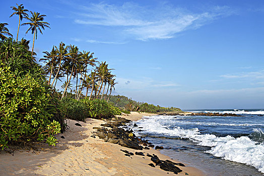 棕榈树,沙滩,海浪,印度洋,南,省,斯里兰卡,亚洲