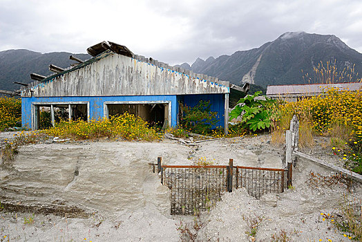 毁坏,房子,火山爆发,火山,2008年,区域,拉各斯,巴塔哥尼亚,智利,南美