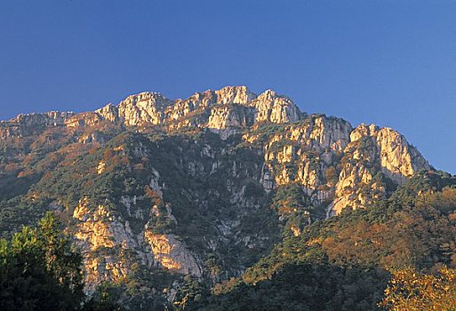 山,泰山,山东,省,中国