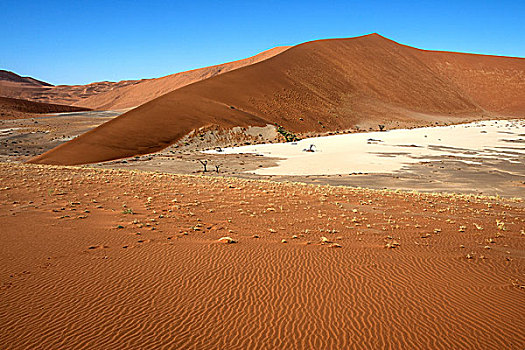 沙丘,隐藏,纳米布沙漠,纳米比沙漠,公园,纳米比亚,非洲